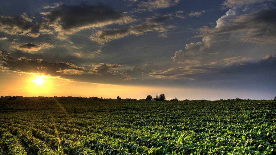 Understanding Sustainability in the Digital Age of Farming - PrecisionAg