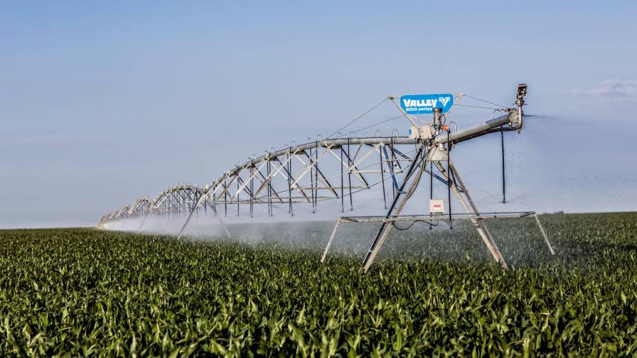 Valley Irrigation 8000 series corn