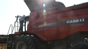 Farm manager Nate Long takes his seat behind the wheel of this Case IH 7230 combine. 