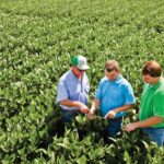 Ag Retailer and Grower WinField United