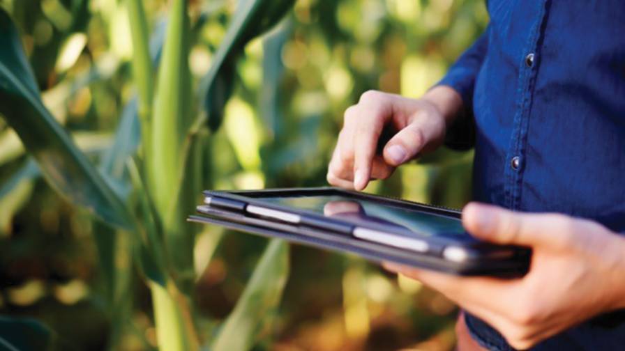 Top 3 Trends to Watch in Digital Agriculture in 2021
