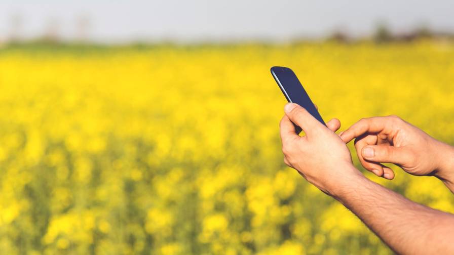Mobile Phone in field