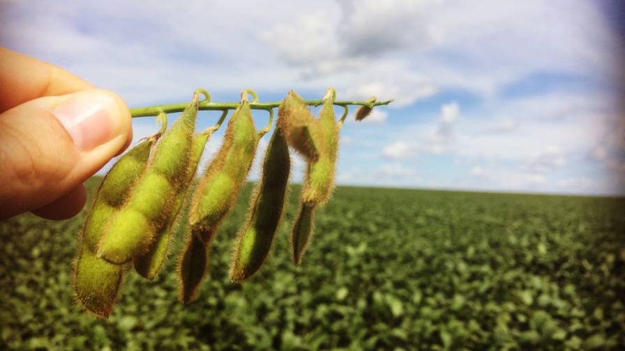 Precision Agriculture Helps Brazilian Farmers Top 90Bushel Soybean