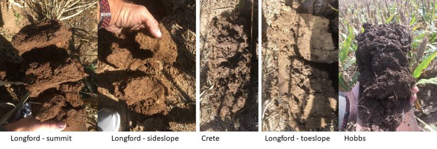 Longford-soil-images
