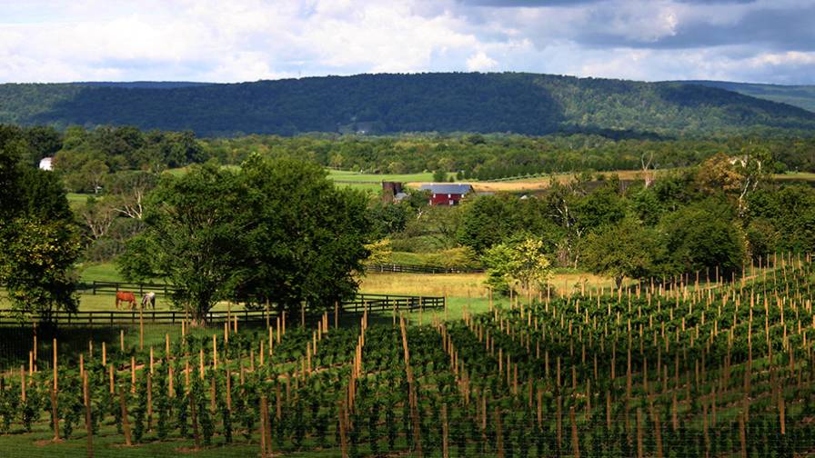 ‘The Olympic Village of AgTech for Vineyards’ Comes to Wine Country