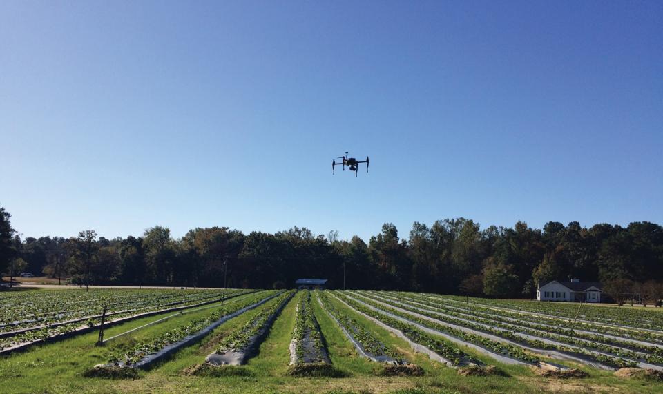 PrecisionHawk-drone-flies-over-strawberry-field