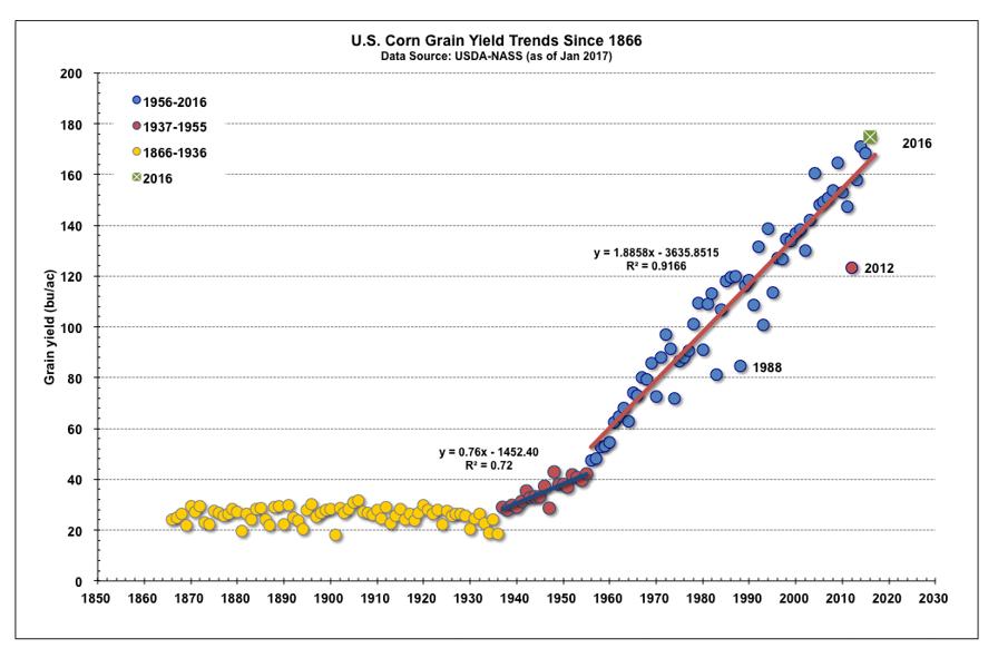 Corn-Grain-Trends