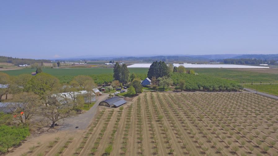 Aerial view of the Willamette Countryside