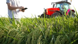 Digital Trends to Watch as Agriculture Transitions to Remote Working