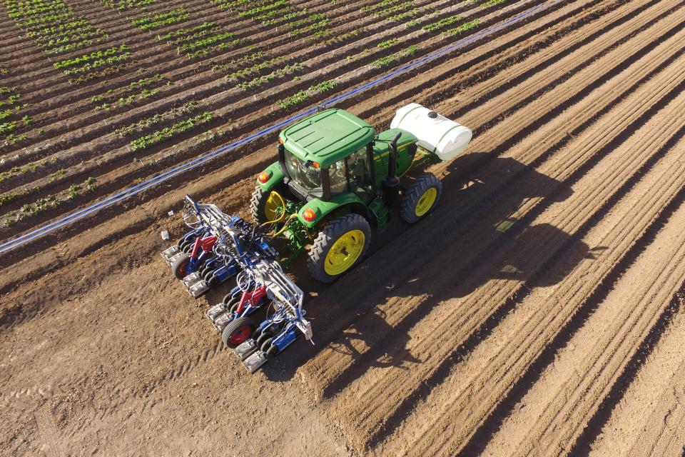 Lettuce Thinning Goes Automated with New Machines PrecisionAg
