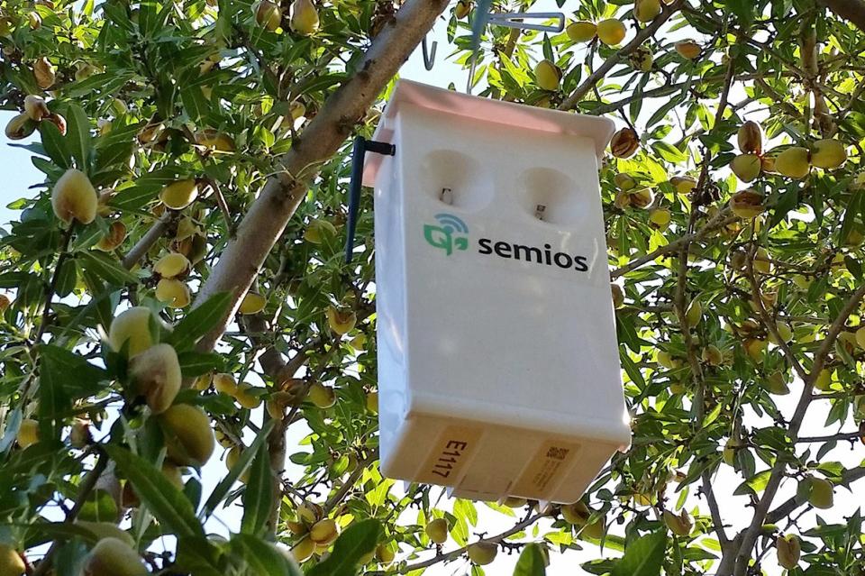 The Semios Group Appoints New CEO