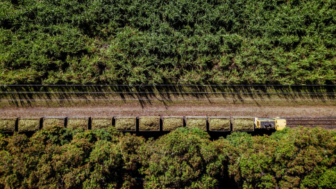 The Road to Automated Agriculture Begins in Brazil