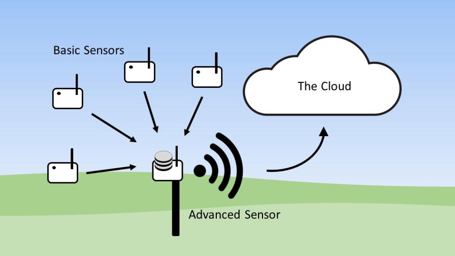 Sensor Trends in Agriculture: Finding the Balance Between Affordable and Expensive