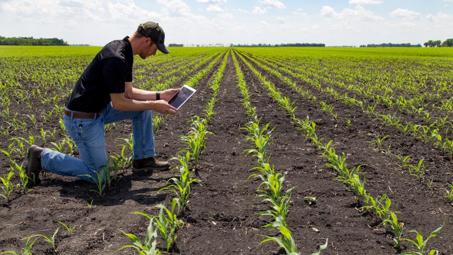 Retailer tablet field