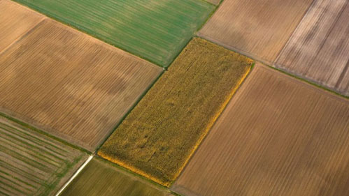 Crop Identification Using Satellite Data Analytics