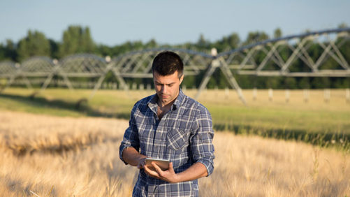 Farmer-in-field-501x282-1.jpg