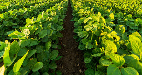 Best-in-Class Technology is Table Stakes