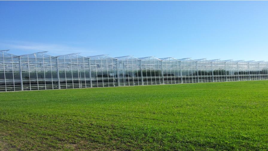 Netafim to Acquire Dutch Greenhouse Company Gakon Global Ag Tech