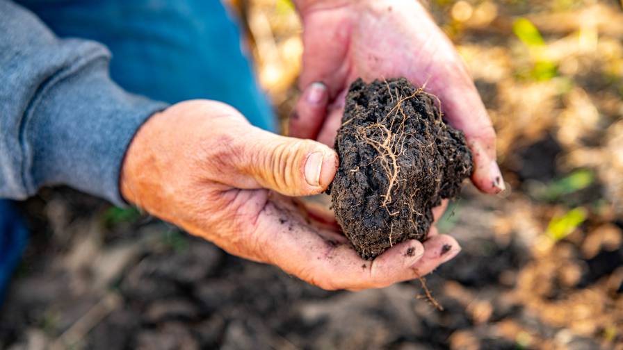 Soil Hands Photo Cargill