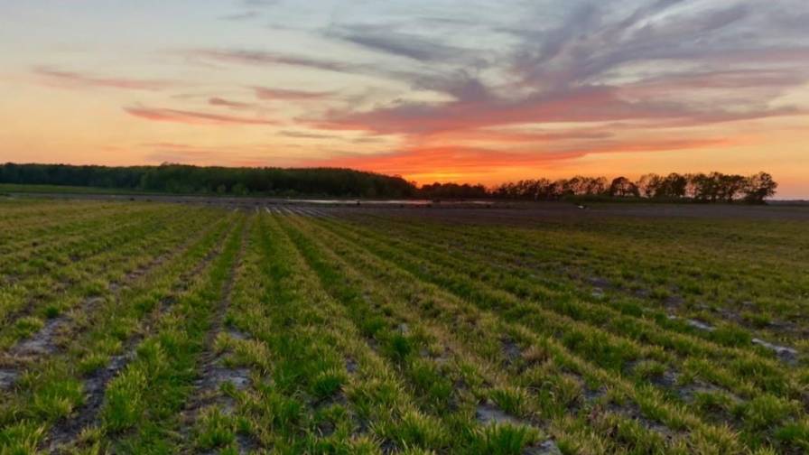 Open Prairie CEO on How to Navigate the AgTech Renaissance