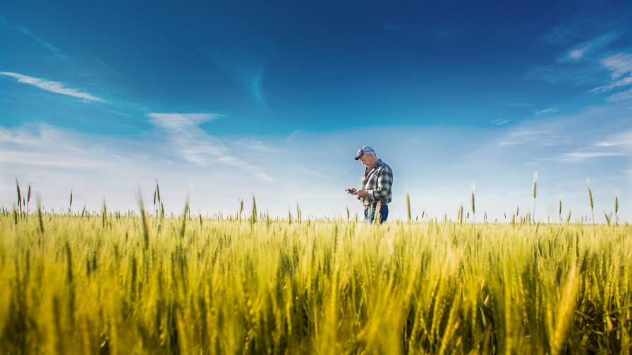 Bushel Builds Connection to the CIBO Carbon Bridge Program, Helping