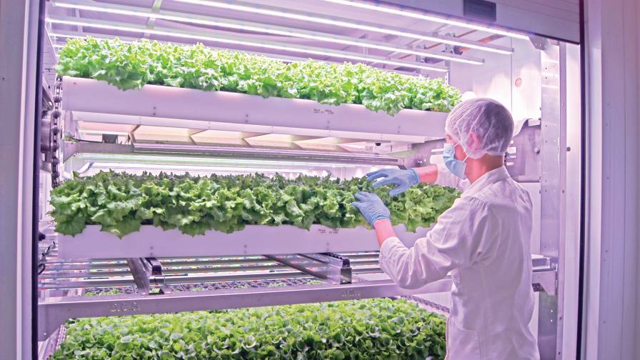 Integration of Technology in Urban Agriculture