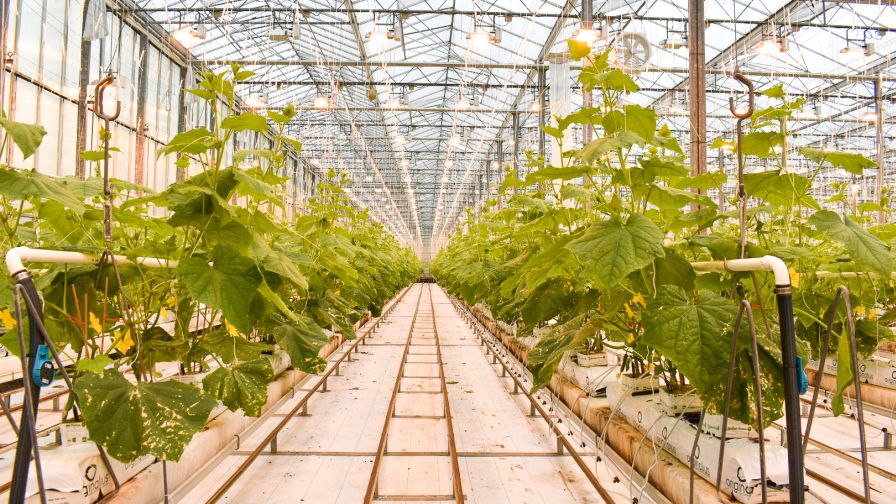 Bushel State of the Farm Report