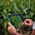 Bayer-FIeldView-150x150.jpg