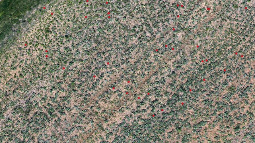 Figure 2 – Rocks detected by AI on arable land