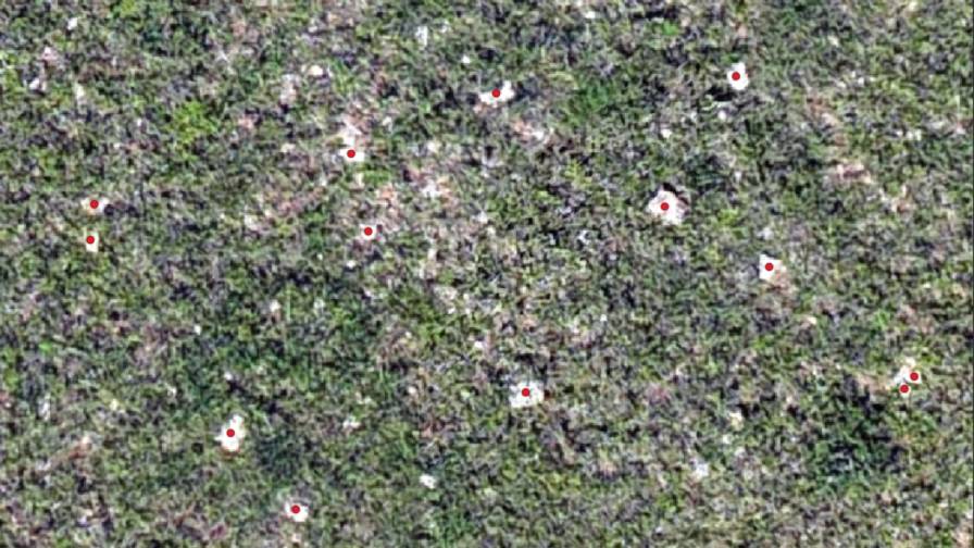 Figure 3 - Rocks detected by Proofminder AI model