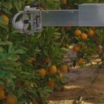 Nanovel-fruit-harvesting-robot-150x150.jpg