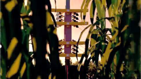 PowerPollen Unveils Autonomous, AI-Powered Ground Fleet for Commercial Corn Production