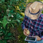 HarvestReplay: умный сервис для аграриев