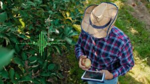 Innov8.ag Launches Industry’s First Operational Intelligence Service for Agriculture