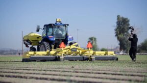 Niqo Robotics Charts Path to Profitability as Physical AI Weeding Platform Expands into New Crops, Markets, and New Generation of Products
