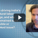 Inside India’s Agricultural Labor Gap: How AgTech Is Digitizing the Farm Workforce