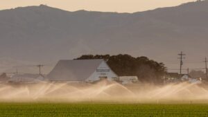 Reservoir Opens Its Farms to Create Dense Innovation Hubs for Rugged AI and AgTech
