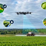 Beyond Crop Scouting: How AI-Powered Drones Could Reshape Precision Agriculture