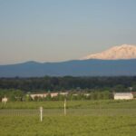 Reservoir Farms Expands to Washington State to Accelerate Physical AI for Tree Fruit, Blueberries, and Critical High-Value Crops