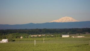 Reservoir Farms Expands to Washington State to Accelerate Physical AI for Tree Fruit, Blueberries, and Critical High-Value Crops